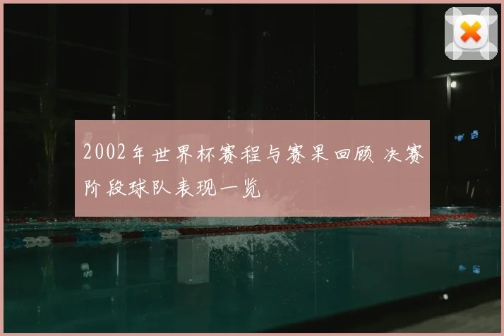 2002年世界杯赛程与赛果回顾 决赛阶段球队表现一览